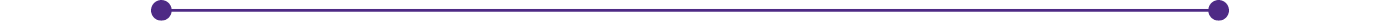 Purple line icon Flip Out Australia