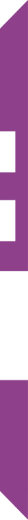 Wight and purple horizontal line | Flip Out Australia